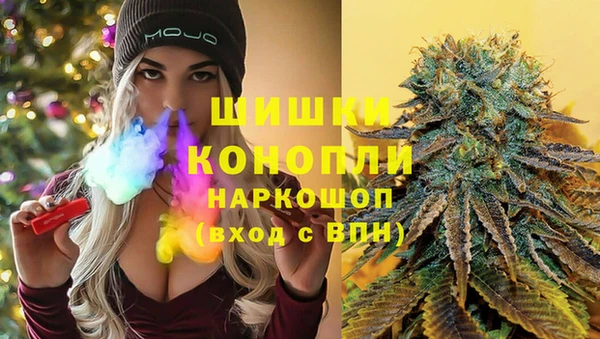 spice Алзамай