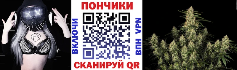 Конопля Bruce Banner  Солнечногорск 